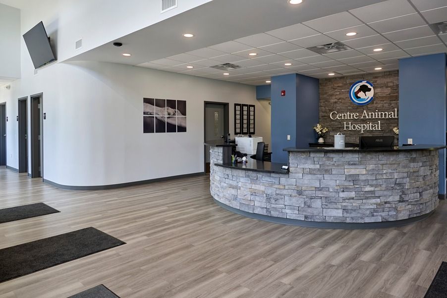 Centre Animal Hospital reception desk.