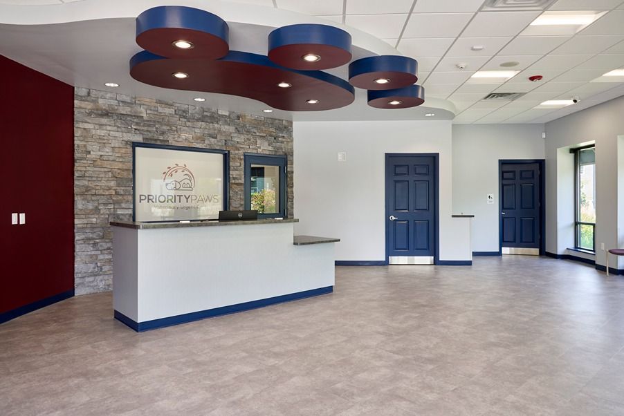 Priority Paws Animal Hospital reception desk. This project was accomplished by our veterinary design-build team.